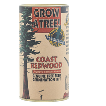 The Jonsteen Company Coast Redwood Tree Seed Grow Kit