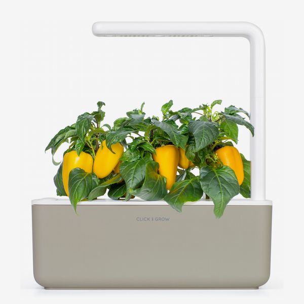 Click & Grow Smart Garden 3 Self-Watering Indoor Garden