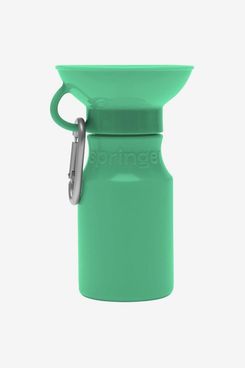 Springer Green Travel Water Bottle