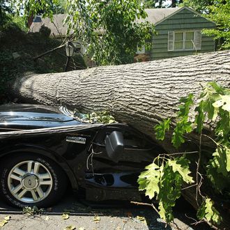 FALLS CHURCH, VA - JUNE 30: A downed tree damages a truck after a powerful overnight storm in the Washington, DC region June 30, 2012 in Falls Church, Virginia. The storm has left more than a million people in the greater Washington, DC area without power. (Photo by Alex Wong/Getty Images)