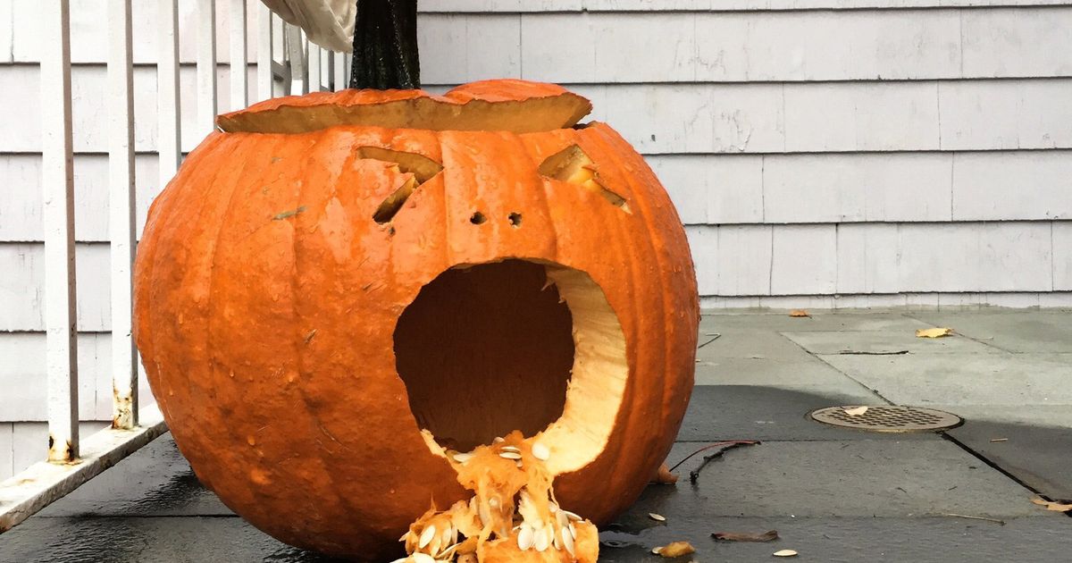 Baby throws up deals squash and pumpkin