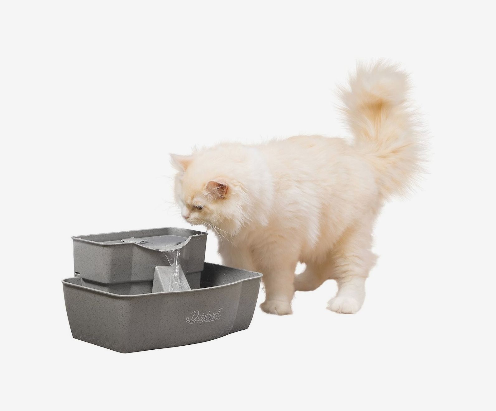 Best ceramic hot sale cat fountain