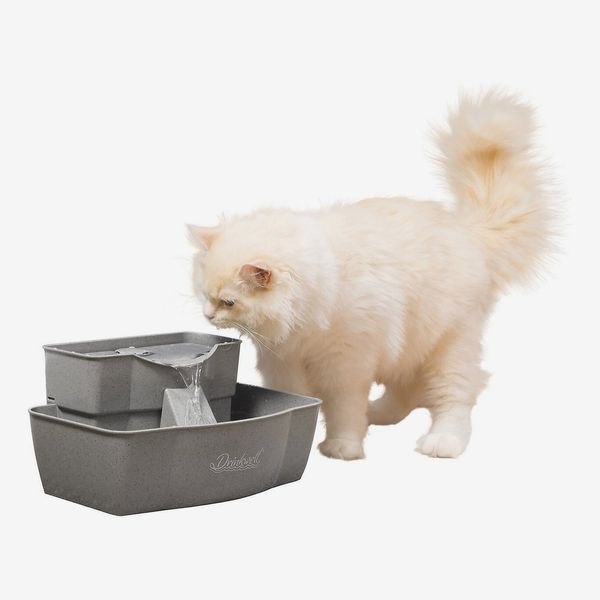 Best water best sale feeder for cats