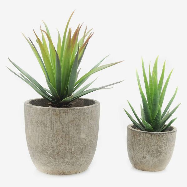 Artificial Aloe Plants