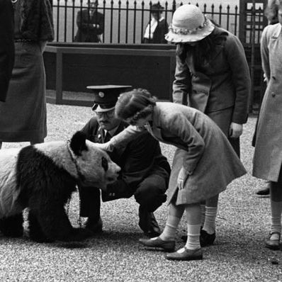 See Queen Elizabeth With Corgis, a Panda, Elephants, and Other Animals