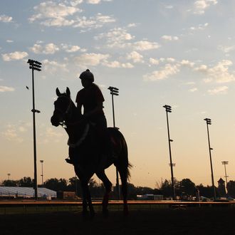 Horses train on the track in preparation for the 138th Kentucky Derby at Churchill Downs on May 2, 2012 in Louisville, Kentucky.
