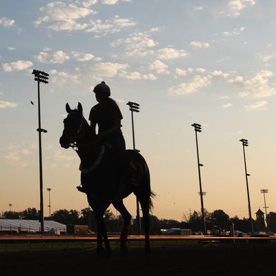 Horses train on the track in preparation for the 138th Kentucky Derby at Churchill Downs on May 2, 2012 in Louisville, Kentucky.