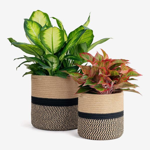 Woven Rope Plant Baskets