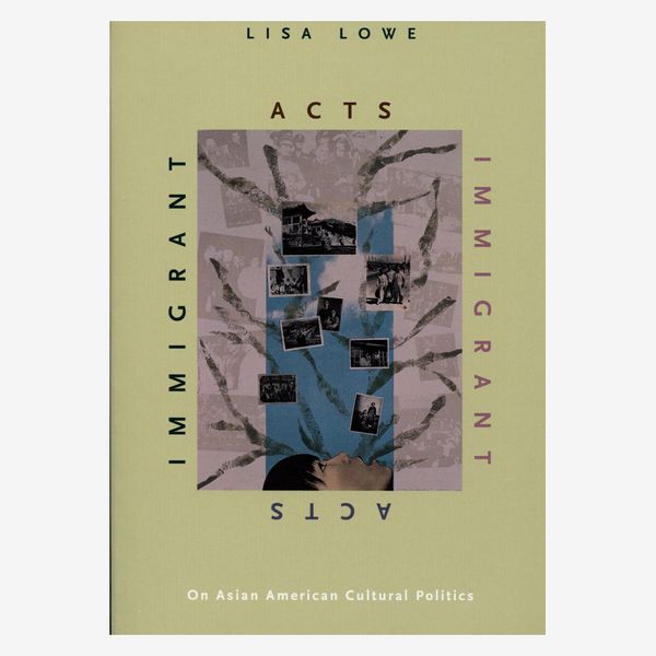 “Immigrant Acts: On Asian American Cultural Politics” by Lisa Lowe