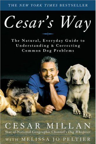 Every Dog's Legal Guide: A Must-Have Book for Your Owner