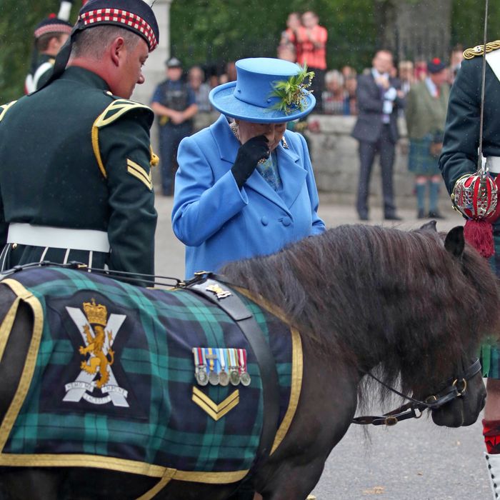 Queen Elizabeth and pony.