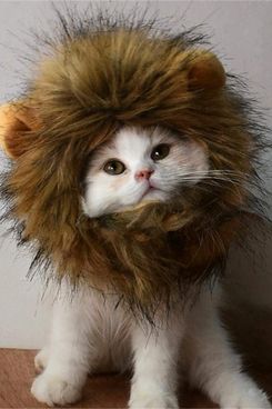 RosyLife Lion-Mane Wig for Cats