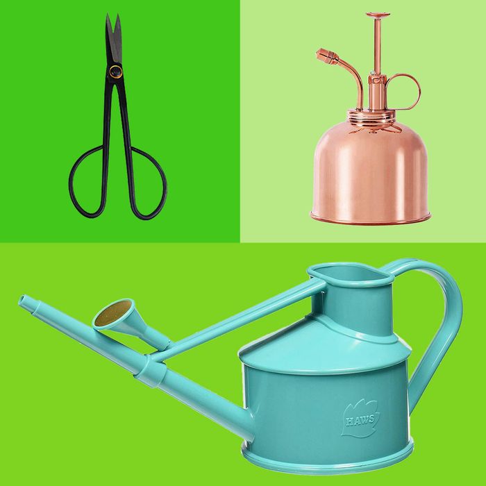 GLASS & BRASS GARDENING & PLANTING MISTER DECORATION SPRAYER WATERING CAN GIFTS 