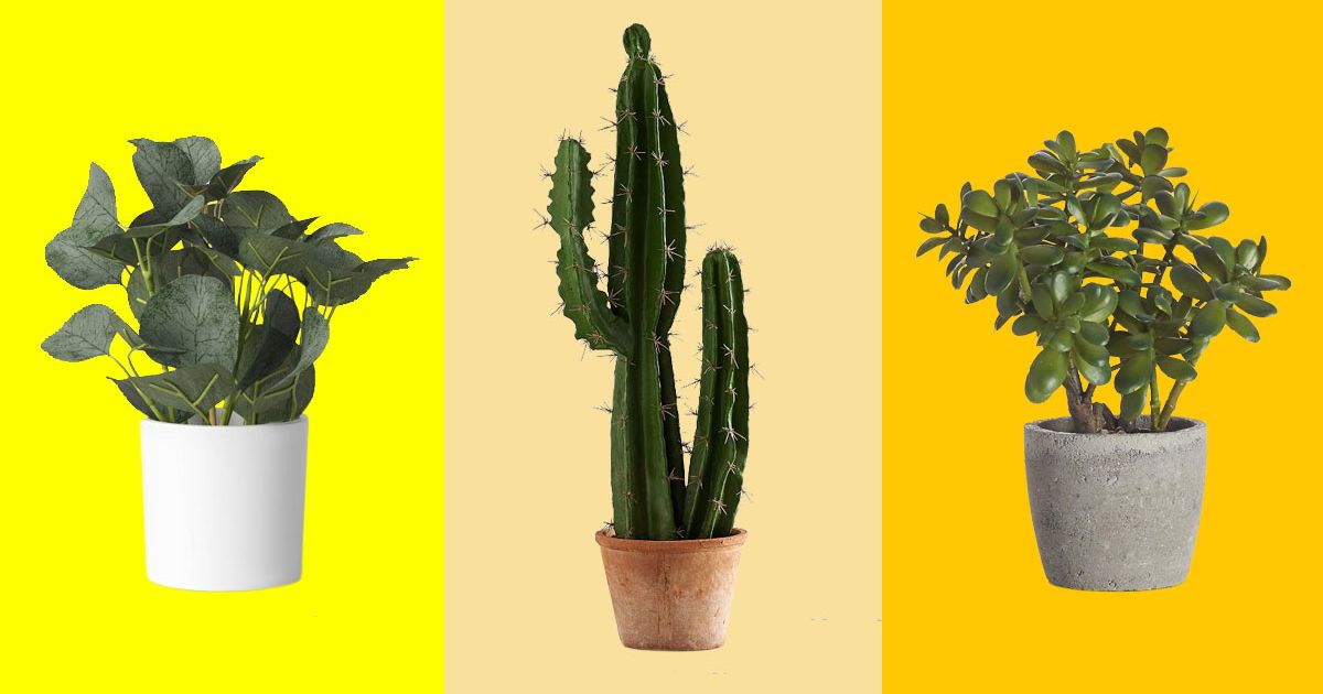 44 Best Artificial Plants 2022 The Strategist