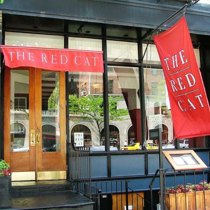 Chelsea Restaurant the Red Cat Will Close in December