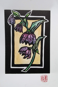 Patricia Wakida, 'California fritallaria lily'