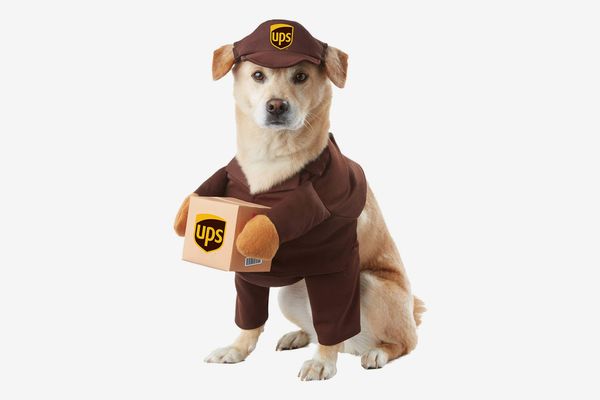 California Costume Collections PET20151 UPS Pal Dog Costume