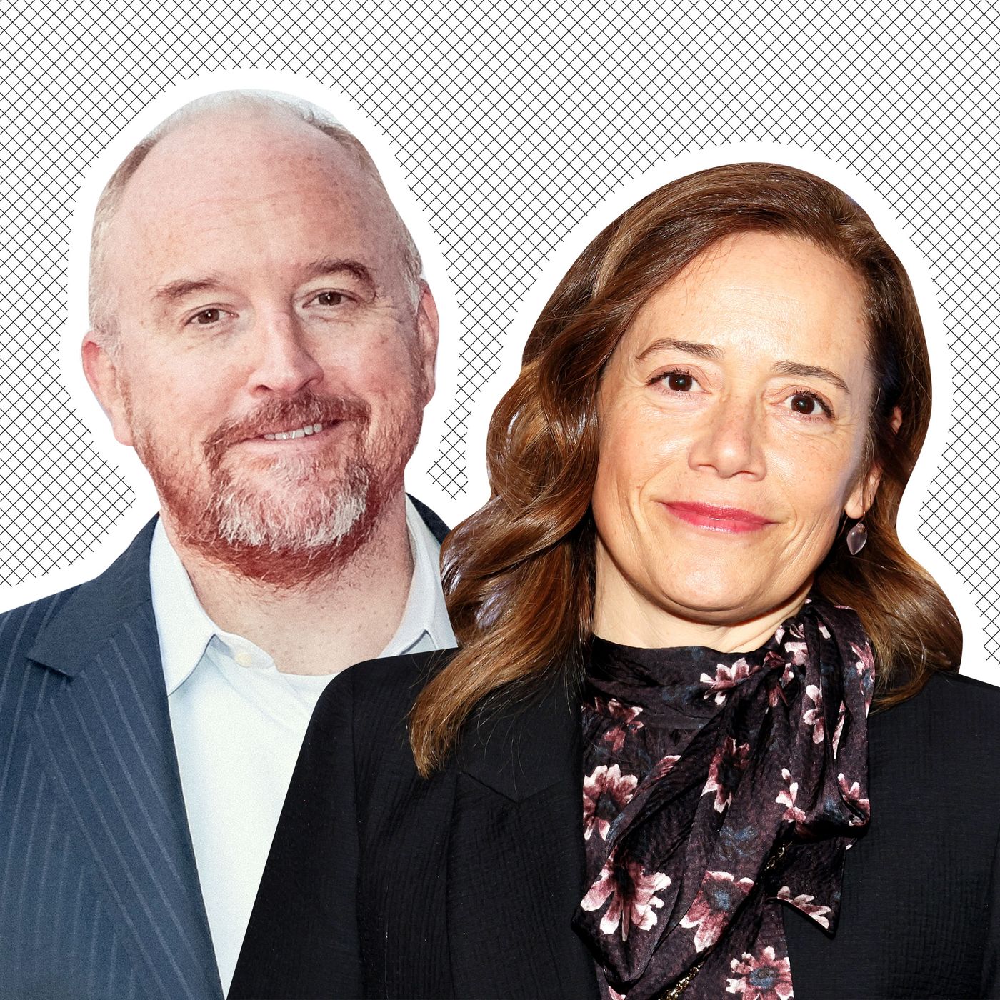 Is Louis C.K. Dating Phillip Seymour Hoffman's Partner?, image size:1400x1400