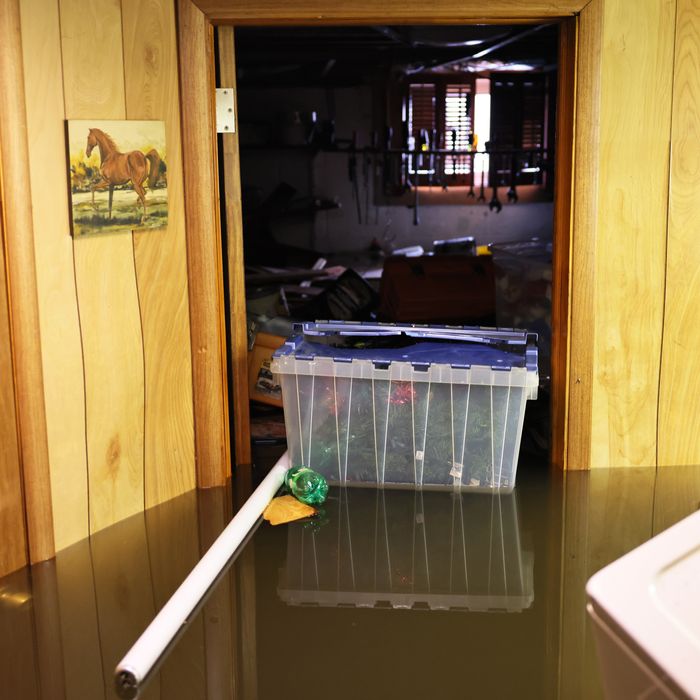 What To Do When Your Basement Floods, Why Is My Basement Bathroom Flooding