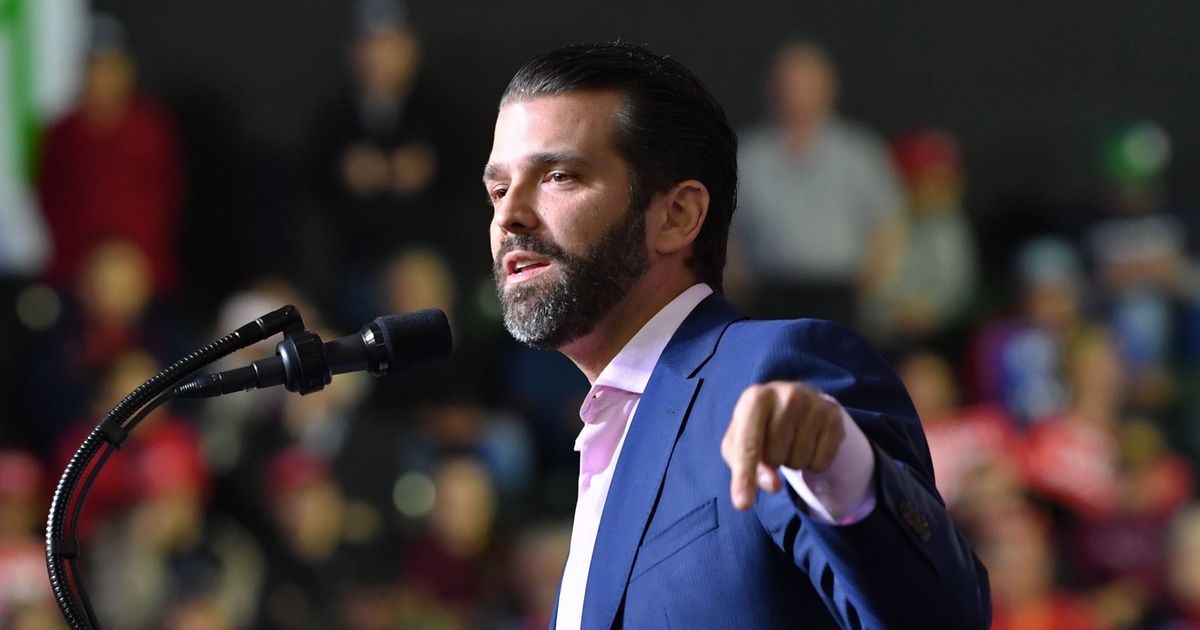 Did Donald Trump Jr. Break Computer Law?