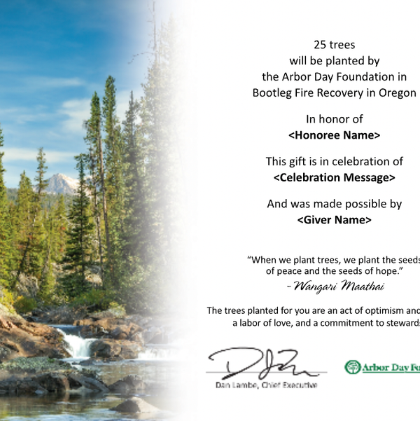 Arbor Day Foundation Customize Your Trees in Celebration