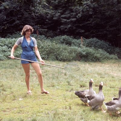 Martha Stewart herding geese, 1976.