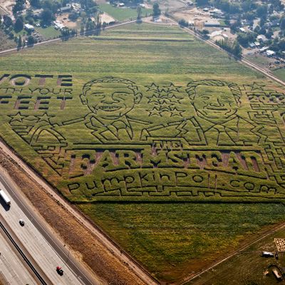 An 18-acre corn maze at The Farmstead in Meridian, Idaho, features a political face-off between Republican presidential candidate Mitt Romney and President Barack Obama. 
