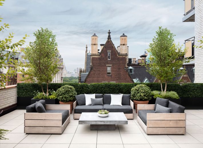 Creating a Leafy Green Oasis on a Manhattan Terrace