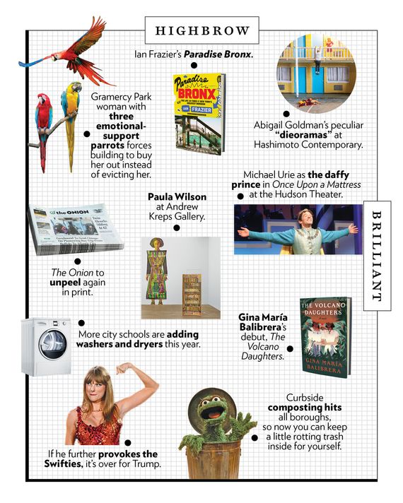 The Approval Matrix: A Lively Gossip Week