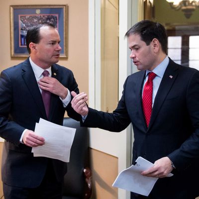 Sen. Mike Lee, R-Utah, left, and Sen. Marco Rubio, R-Fla., prepare to hold a news conference on a tax plan rollout on Wednesday, March 4, 2015.