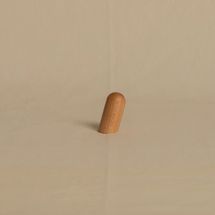 Wall Peg by Edward Wohl