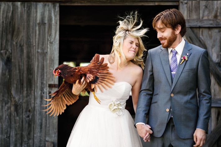 Why Your Pet Should Be Invited to Your Wedding