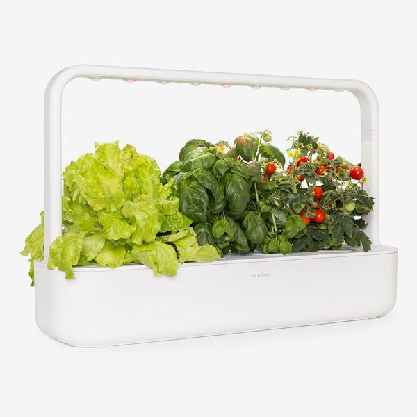 19 Best Indoor Garden Kits 2021 The, Indoor Herb Garden Kit With Light