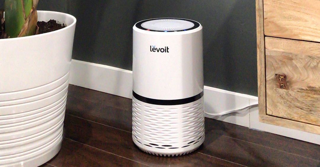 best air purifier for litter box