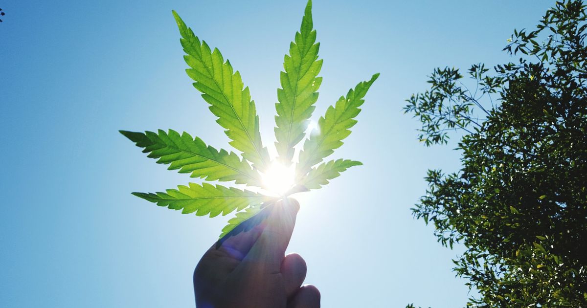 The Real Reason Potheads Celebrate 420