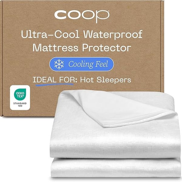 Coop Sleep Goods Ultra-Cool Waterproof Mattress Protector - Queen