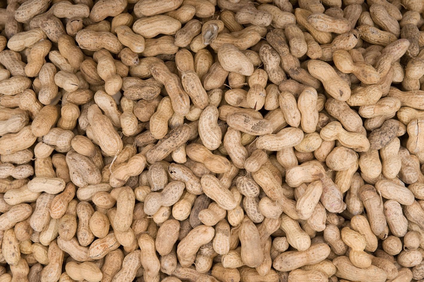 Monkey Nuts Recalled Because People Don't Realize They're Actually Peanuts