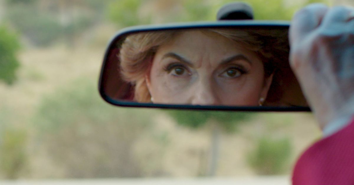 Gloria Allred Documentary Makes a Case for Public Shaming