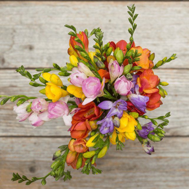 6 Best Flower Delivery Services 2019 The Strategist New York Magazine