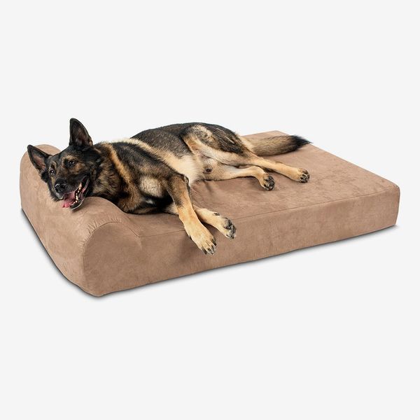 The 6 Best Outdoor Dog Beds of 2023