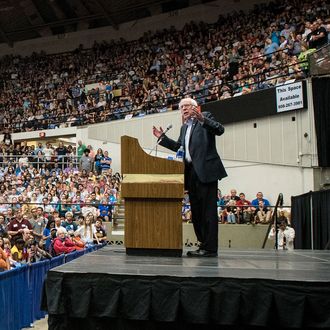 Democratic Presidential Candidate Bernie Sanders Campaign Rally