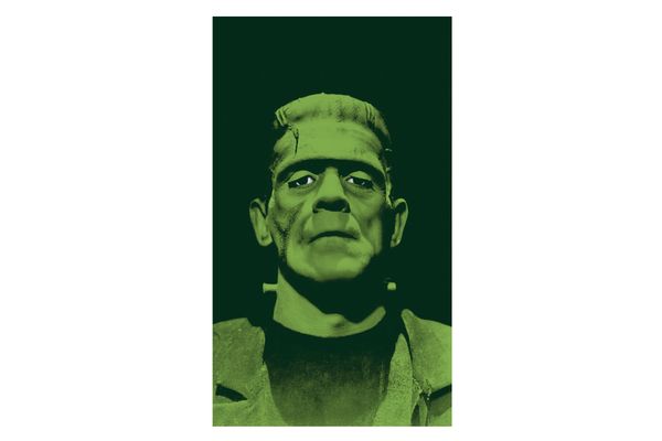 WOWindow Posters Frankenstein’s Monster Scary Halloween Window Decoration Backlit Poster
