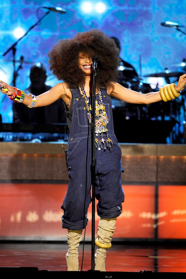 The Erykah Badu Look Book 