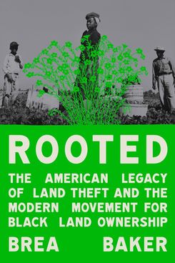 ‘Rooted: The American Legacy of Land Theft and the Modern Movement for Black Land Ownership,’ by Brea Baker