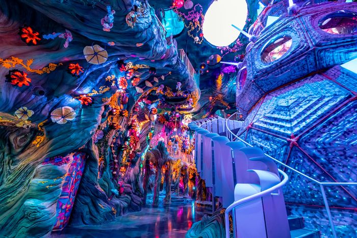 The even glitzier new Meow Wolf.