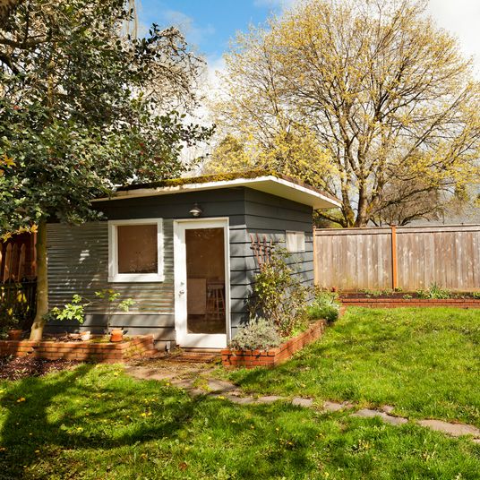 Cute little garden shed in back yard