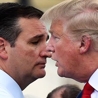 Donald Trump, Ted Cruz