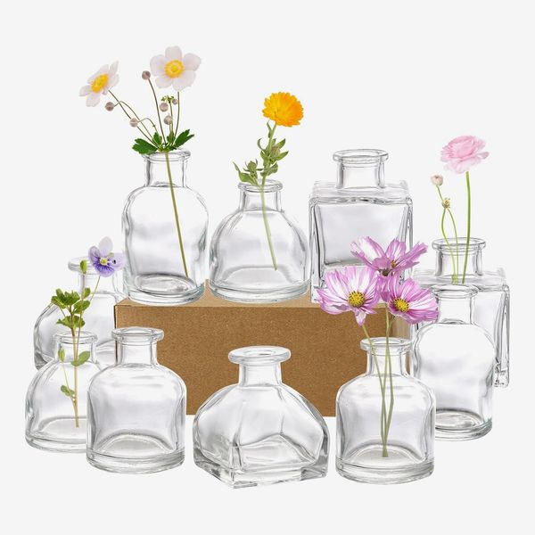 Hedume Mini Glass Flower Vases (Set of 10)
