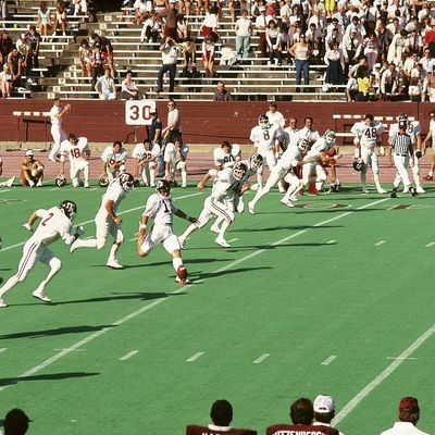 College Football: Texas A&M 12th Man squad on field during the Former Students game at Kyle Field. College Station, TX 4/23/1984