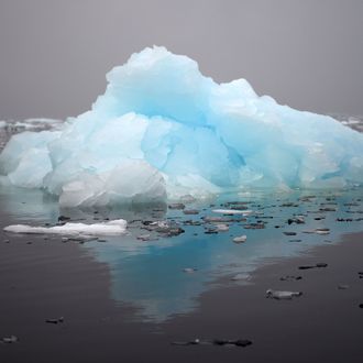 ANTARCTICA-ENVIRONMENT-KRILL-PENGUINS